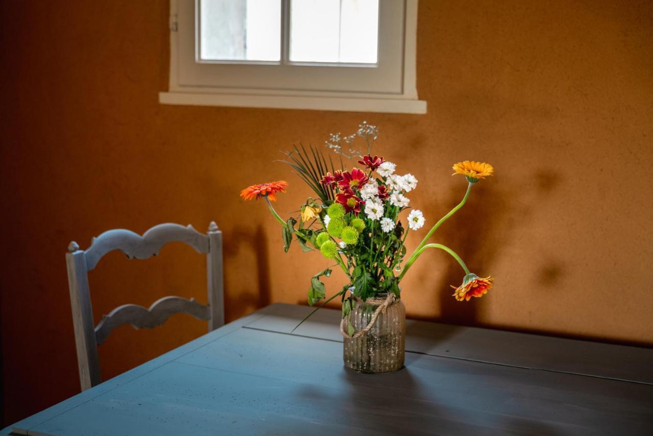 Suite campagnarde de 40 m2 avec vue sur les vignes au Château Camponac Bourg Extérieur photo