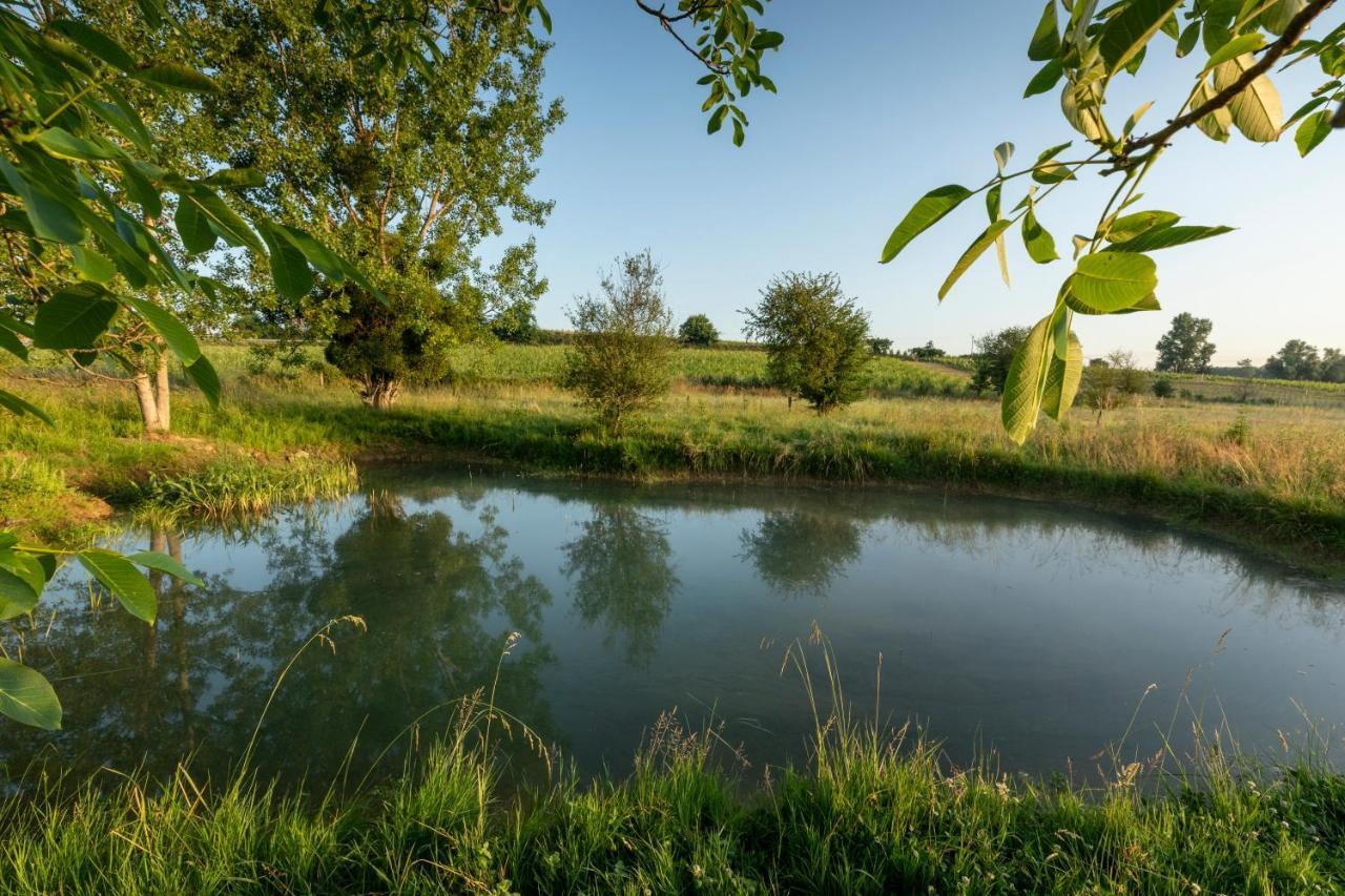 Suite campagnarde de 40 m2 avec vue sur les vignes au Château Camponac Bourg Extérieur photo