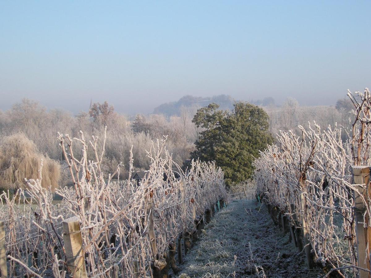 Suite campagnarde de 40 m2 avec vue sur les vignes au Château Camponac Bourg Extérieur photo