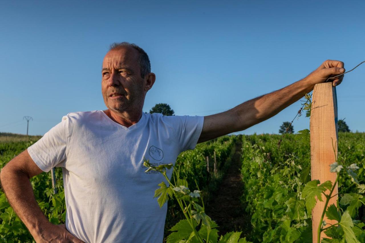 Suite campagnarde de 40 m2 avec vue sur les vignes au Château Camponac Bourg Extérieur photo