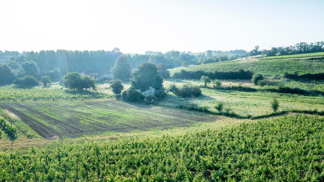 Suite campagnarde de 40 m2 avec vue sur les vignes au Château Camponac Bourg Extérieur photo